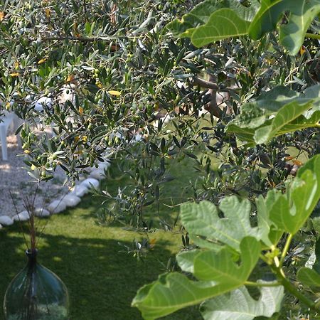 Giardinotto Casa Vacanze Altino  Εξωτερικό φωτογραφία